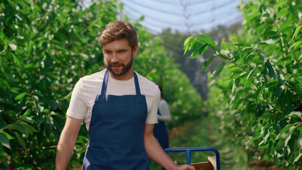 Farm Employee Partners Working on Farmland Harvesting Cherry Monitoring Growth