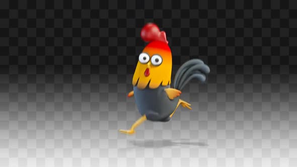 Rooster is Running