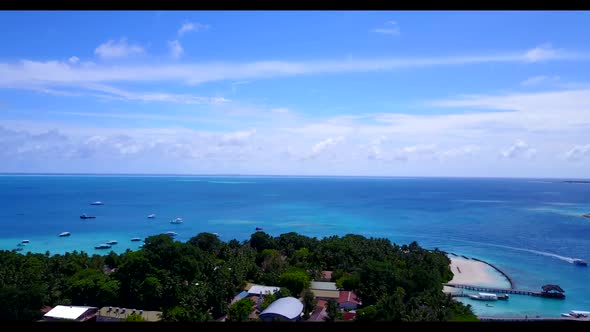 Aerial drone sky of idyllic sea view beach wildlife by blue ocean and white sand background of a day