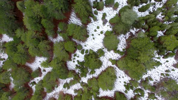 Soft Winter in the Mountains Aerial View 4 K