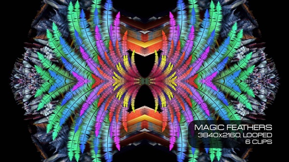 Magic Feathers 4K VJ Pack