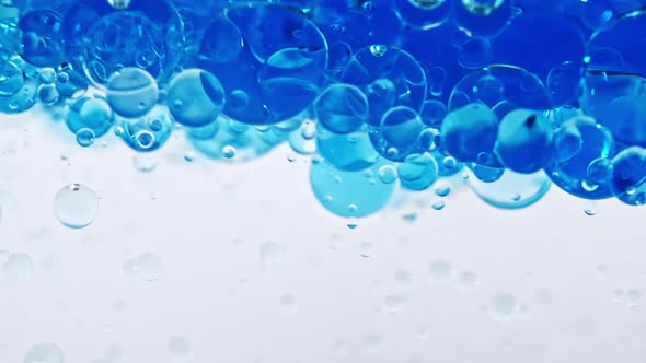 Macro Shot of Various Air Bubbles in Water Rising Up on Light White Background