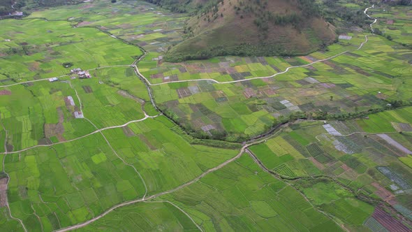 Agriculture in paddy rice fields