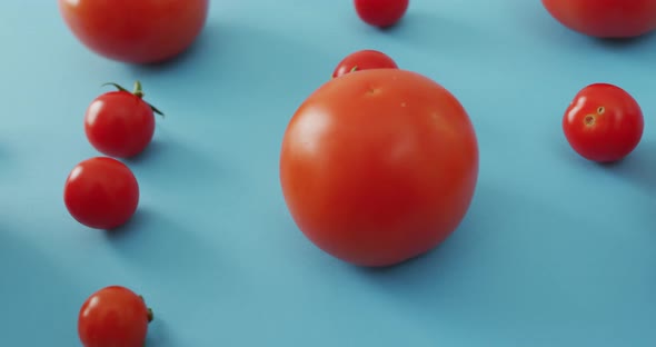 Video of fresh tomatoes and cherry tomatoes on blue background