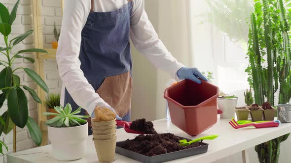 Woman in Gloves and Apron Potting House Plant Close Up