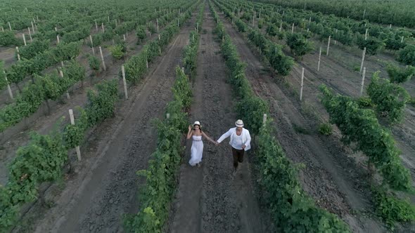 Enjoying Nature Together, Couple Holding Hands Running on Grape Field