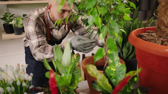 Charismatic Caucasian Florist Guy Take Care of