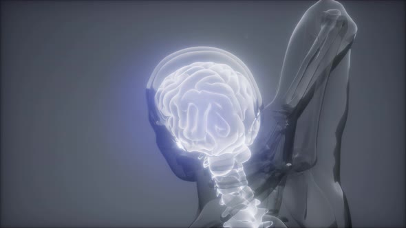 Backache in Back Bones alt