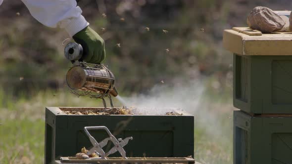 BEEKEEPING - Beekeeper smokes beehives to calm the bees down, slowmo medium shot