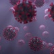 Covid 19 Corona Virus particles on velvet background. - VideoHive Item for Sale