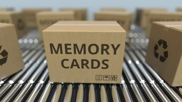 Cartons with Memory Cards on Roller Conveyors