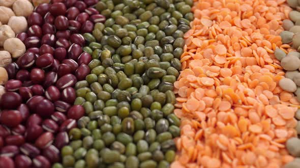 Legumes: Lentils, Mung Beans, Adzuki Beans, Red Beans, Chickpeas. 