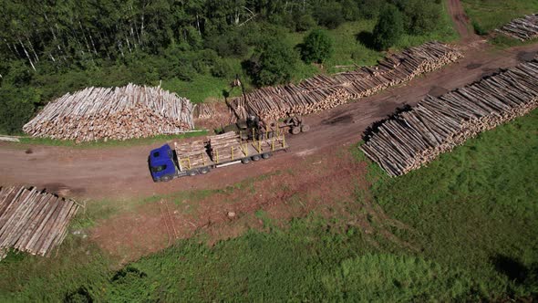 The Deforestation of Siberia Economic and Environmental Problems in Russian Forest Management