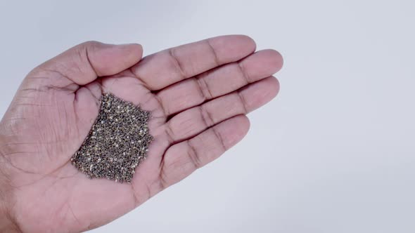 Hand Holding Chia Seeds