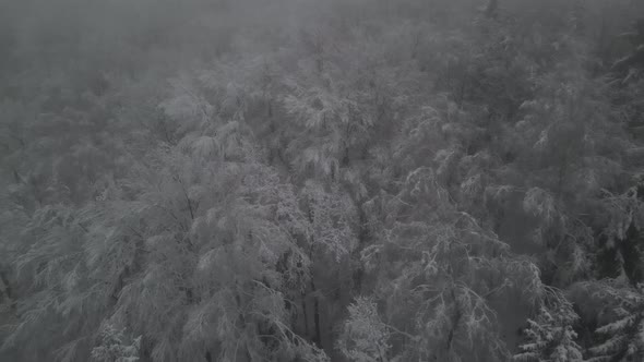 Low visibility fog winter season storm at Elblag Poland