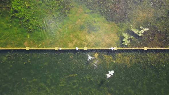 Wild birds conservation water tanks at Dublin Ireland