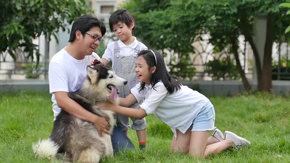 Happy Asian Family Playing With Siberian Husky Dog In The Garden