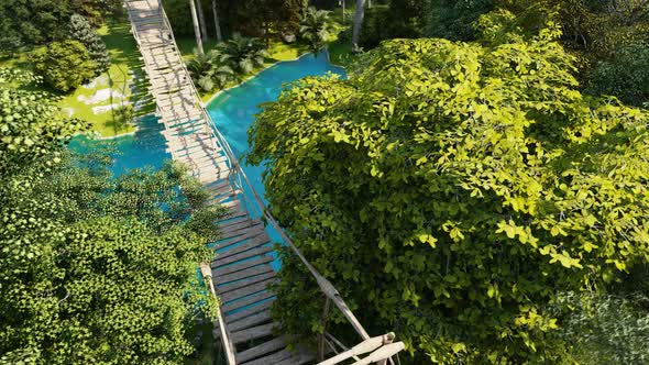 Wooden Bridge In Forest 2K