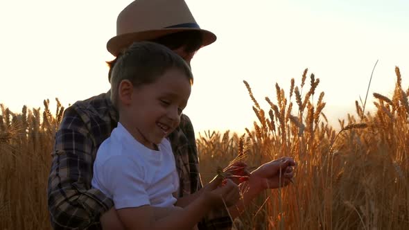 Happy Family: Mother and Little Boy Are Considering Mature Wheat Spikelets in a Field at Sunset