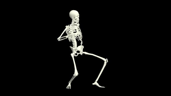 Skeleton Silly Dancing