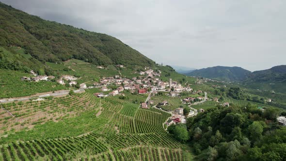 Aerial View of Vineyard Fields on the Hills in Italy Growing Rows of Grapes