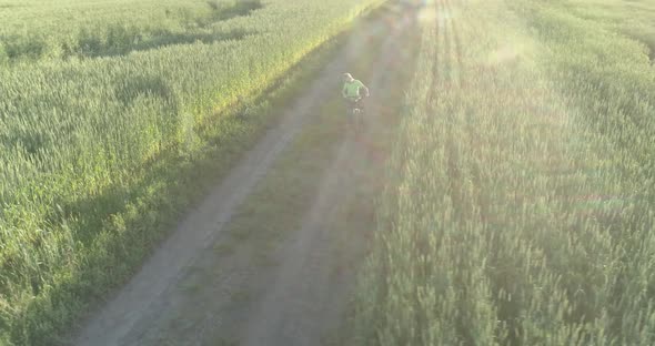 Aerial View on Young Boy, That Rides a Bicycle Thru a Wheat Grass Field on the Old Rural Road