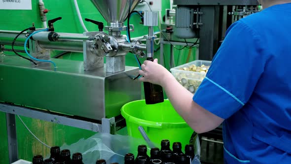 Filling of Olive Oil Bottles in a Bottling Factory