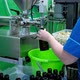 Filling of Olive Oil Bottles in a Bottling Factory - VideoHive Item for Sale