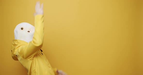 Happy Guy Enjoying Dance with Pigeon Mask on Yellow Background