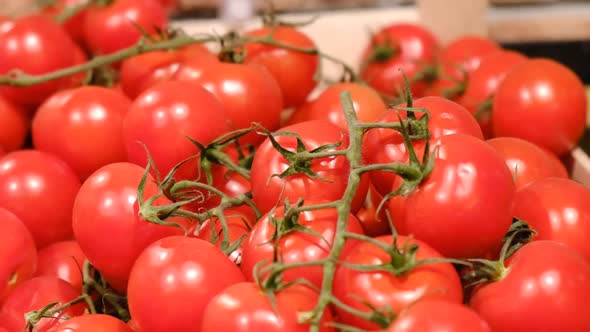 Red Tomatoes As Background Video Time Lapse Video