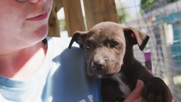 Dog in a shelter with volunteer