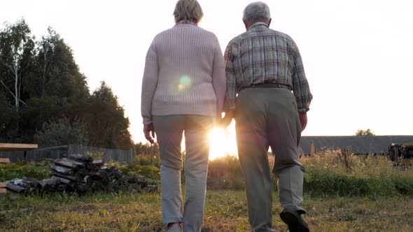 Elderly Couple Holding Hands On Background Of Green Nature With Sunset Sunlight