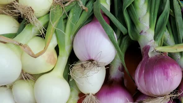 Slow motion. POV point of view - Fresh produce at the local Farmer's Market near historical Union St