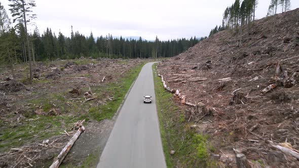 Following a lone white SUV through a recently clear cut forest area, aerial track