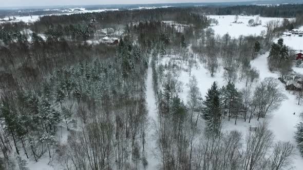 Flying drone footage over frozen woods in Sweden.