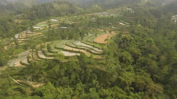 Tropical Landscape with Farmlands in Mountains