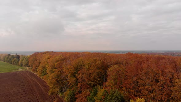 Autumn forrest park and fields from above