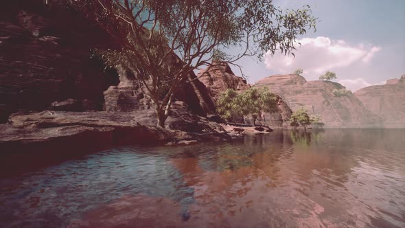 Colorado River with Gorgeous Sandstone Walls and Canyons