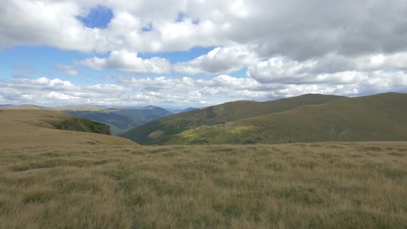 Fields with dried grass