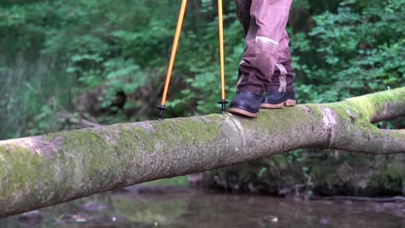 A Tourist Walks the River on a Log Helping Himself with the Help of the Sticks.