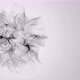 A cloud of moving black particles - VideoHive Item for Sale