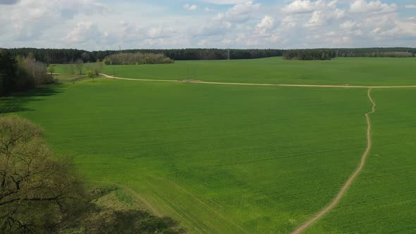 Slow Flight Over a Green Sown Field