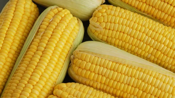 Fresh and Ripe Corn