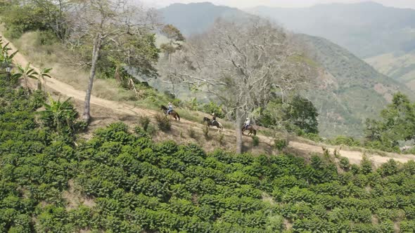 Aerial view of horses running on hilltop.