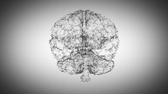 Polygonal Brains Rotation 