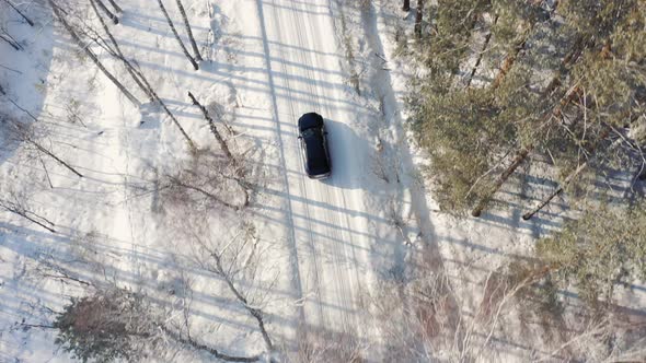 Car moving on white winter road at sunset between pine and birch trees