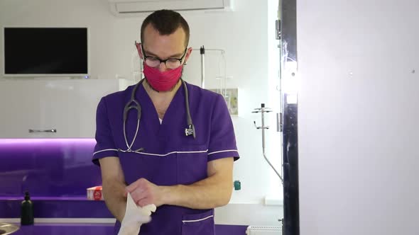 Veterinarian examines x-ray picture of dog in veterinary clinic, pet care