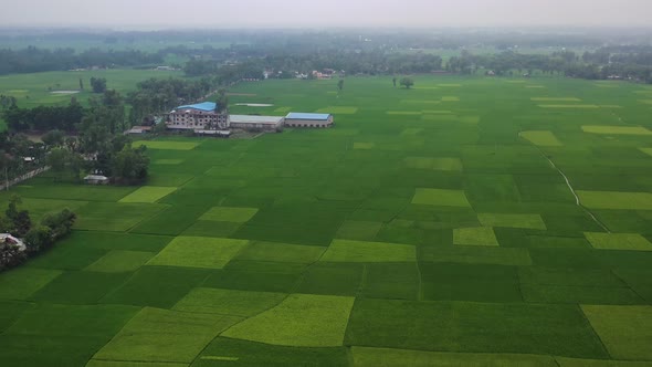 Aerial View of Farm among Cultivated fields, Shibchar, Dhaka, Bangladesh.