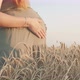 Pregnant happy red-haired woman touching her belly, future young mother walking at sunset - VideoHive Item for Sale