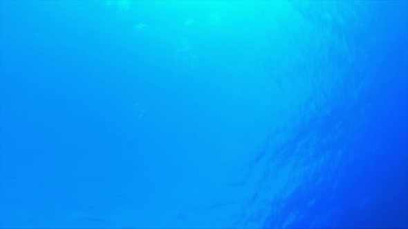Underwater Sea Blue Water Waves